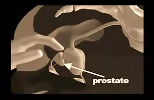 دانشجو, خاله سکسی تلگرام در یک تور با راهنما توسط رودخانه