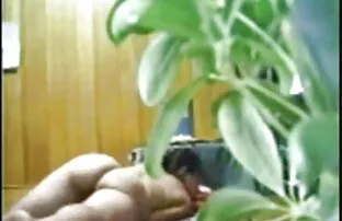 دختر خالکوبی کمک داستان سکسخاله می کند تا برای استراحت کمی